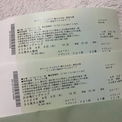 4月5日 シルクドゥソレイユ　アレグリア 東京公演