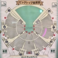 シルクドゥソレイユ　アレグリア　チケット　4月5日　東京