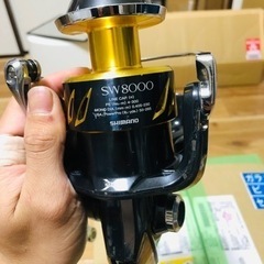 13シマノステラ　sw 8000hg