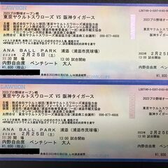 ２月２５日【プロ野球オープン戦】ヤクルトVS阪神　内野自由席２枚