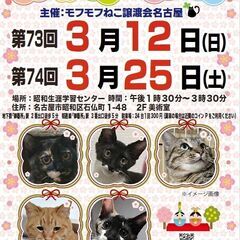 3/12(日)　猫の譲渡会　in　名古屋市昭和生涯学習センター