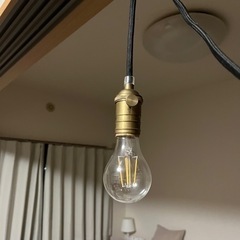 裸電球　真鍮ソケット　照明　ライト　LED