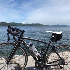 2014 SPECIALIZED ROUBAIX SL4 ELITE  美品