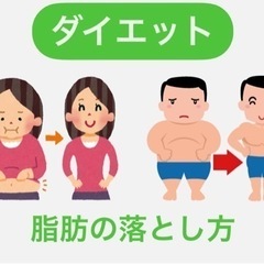 ダイエット(脂肪の落とし方)：京橋