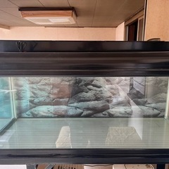 水槽120cmと90cmの2セットで売ります！ 水槽120cmと90cmの2セットで売ります！