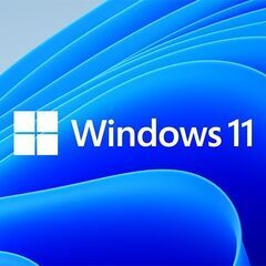 【ネット決済・配送可】Windows11 インストールディスク ...