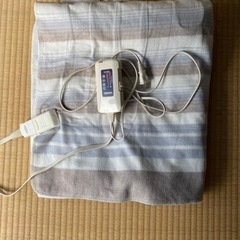 【1000円】ポートカーペット　電気カーペット