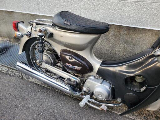 リトルカブ50　シャコタン