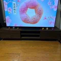 テレビ台／ニトリ