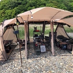 サバティカル アルニカ 商談中
