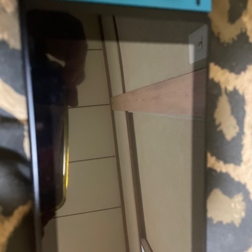 その他 Switch