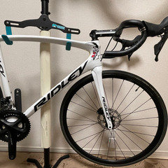 RIDLEY Fenix SL リドレー フェニックス 2019年モデル 