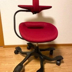 椅子　iPole  (脊髄の専門家が作った椅子) 
