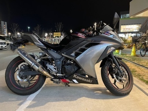 ninja250 2013 SE 販売希望 🎉 TikTokフォロワー限定企画！ 🎉 鮮やか