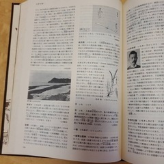沖縄大百科事典
