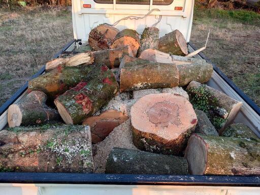 薪割りされる方必見❗】☆広葉樹☆未乾燥☆薪玉切り☆