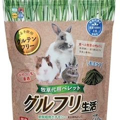 ハイペット グルフリ生活 牧草代用ペレット 550g　2袋