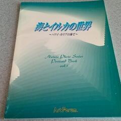 癒しの世界 🐬 アートフォーラム 海とイルカの世界 非売品✨(ღ...