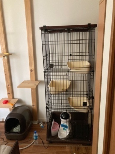 猫ゲージ