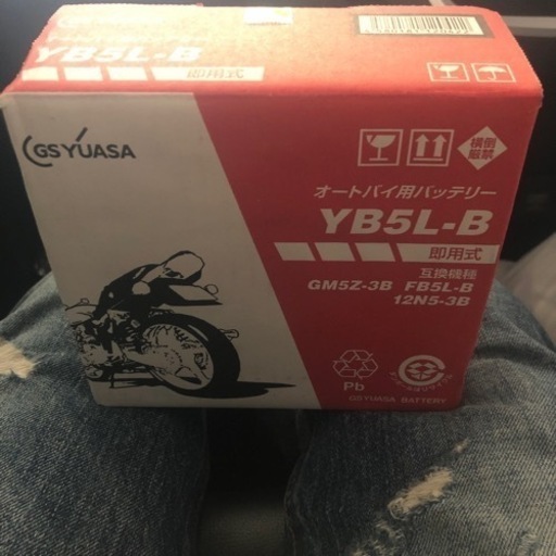 RZ RZRバッテリー