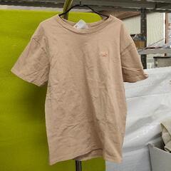 0226-076 フルーツオブザルーム　Tシャツ　Mサイズ