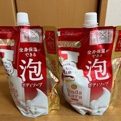 hadakara 泡ボディソープ750ml×2