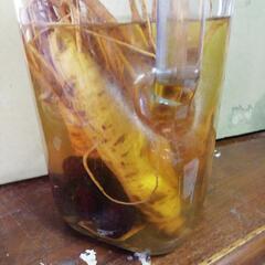 朝鮮人参5年もの4本焼酎漬け