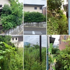 お庭のお手入れ！伐採！草刈り！お任せ下さい！伊豆市！伊豆国！