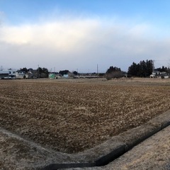 土地貸します(賃料は要相談です)