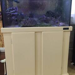 ライブロック 表示価格は適当です。