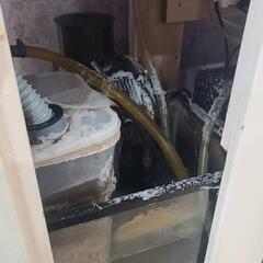 ライブロック 表示価格は適当です。