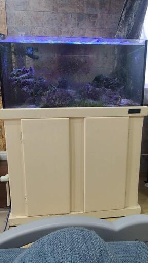 ライブロック 表示価格は適当です。 購入 