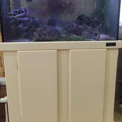 ライブロック 表示価格は適当です。