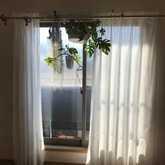 IKEA カーテン　縦210×横140 (2枚)