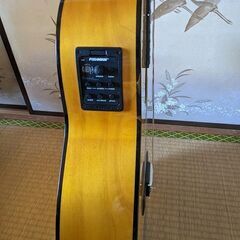 エレガットギターconstant