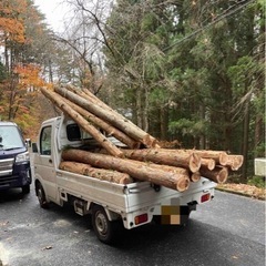 🌲《チェーンソー持参で》杉丸太／軽トラ一台分18000円