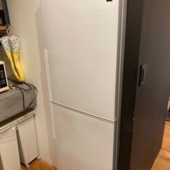 【ネット決済】冷蔵庫　独り暮らし　280L