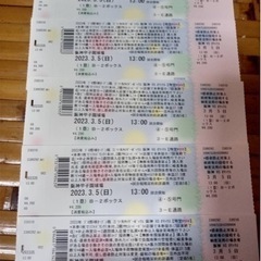3/5甲子園　阪神vsオリックス オ-プン戦チケット！