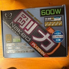 剛力ネイキッドプラグイン600w