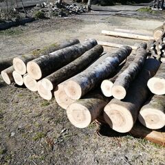 薪ストーブなどの薪用原木として、ケヤキとその他雑木