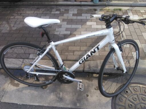 ジャイアント GIANT スポーツサイクル 白 GIANT| 自転車専門店