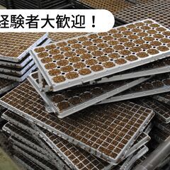 愛媛県宇和島市津島町で培土の製造/樹皮をベルトコンベアーで流し、...