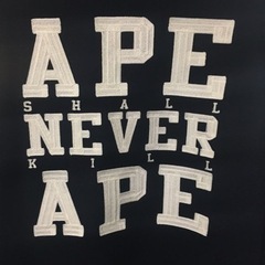 アベイシングエイプ‼️ビッグロゴ　ウールジャケット　XXSサイズ