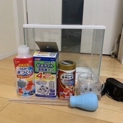 金魚　飼育セット　値下げしました。