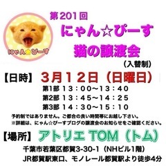 3月12日(日)🌸にゃん☆ぴーす猫の譲渡会🌸「アトリエTOM」J...