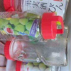 果実酒 びん ガラス 保存瓶 貯蔵 容器 梅酒 多数