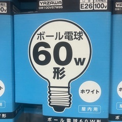 【ネット決済】【再値下げ】3月上旬まで　ボール電球　60W