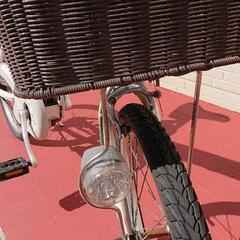 商談中　Panasonic 20㌅ 白 花柄 (中古)