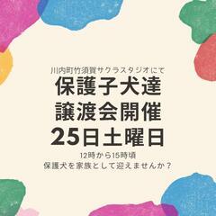 3月25日