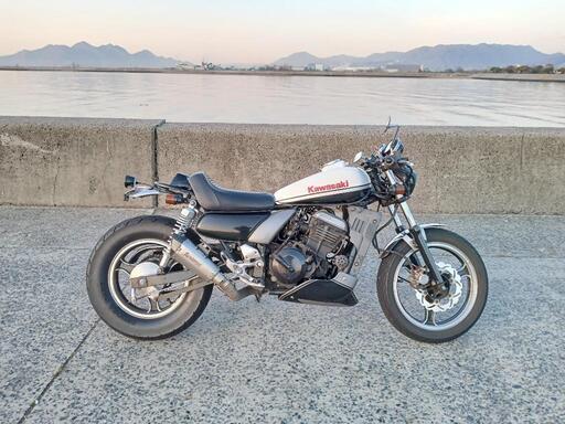 エリミネーター250se　　バックステップ